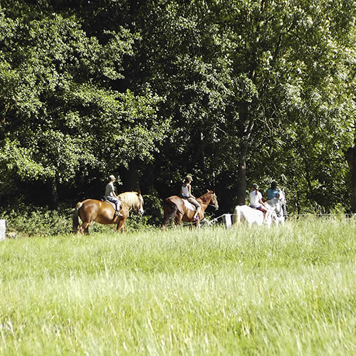 Mountain Bike / Quads / Horse-riding