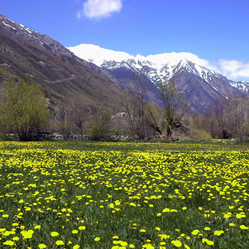 La Cerdanya